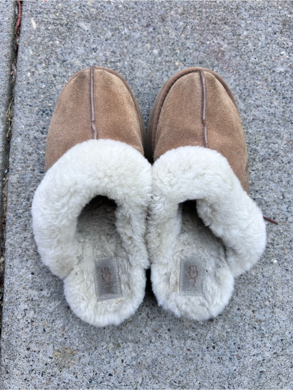 Ugg Women’s Disquette Sheepskin Slippers - Picture 1 of 7